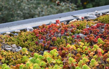 the cost of Hellister green roof installation