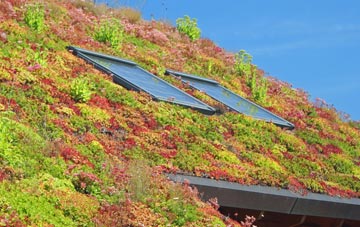 Hellister living roof systems