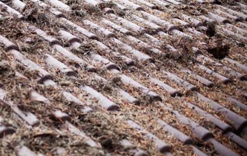 Hellister roof cleaning companies